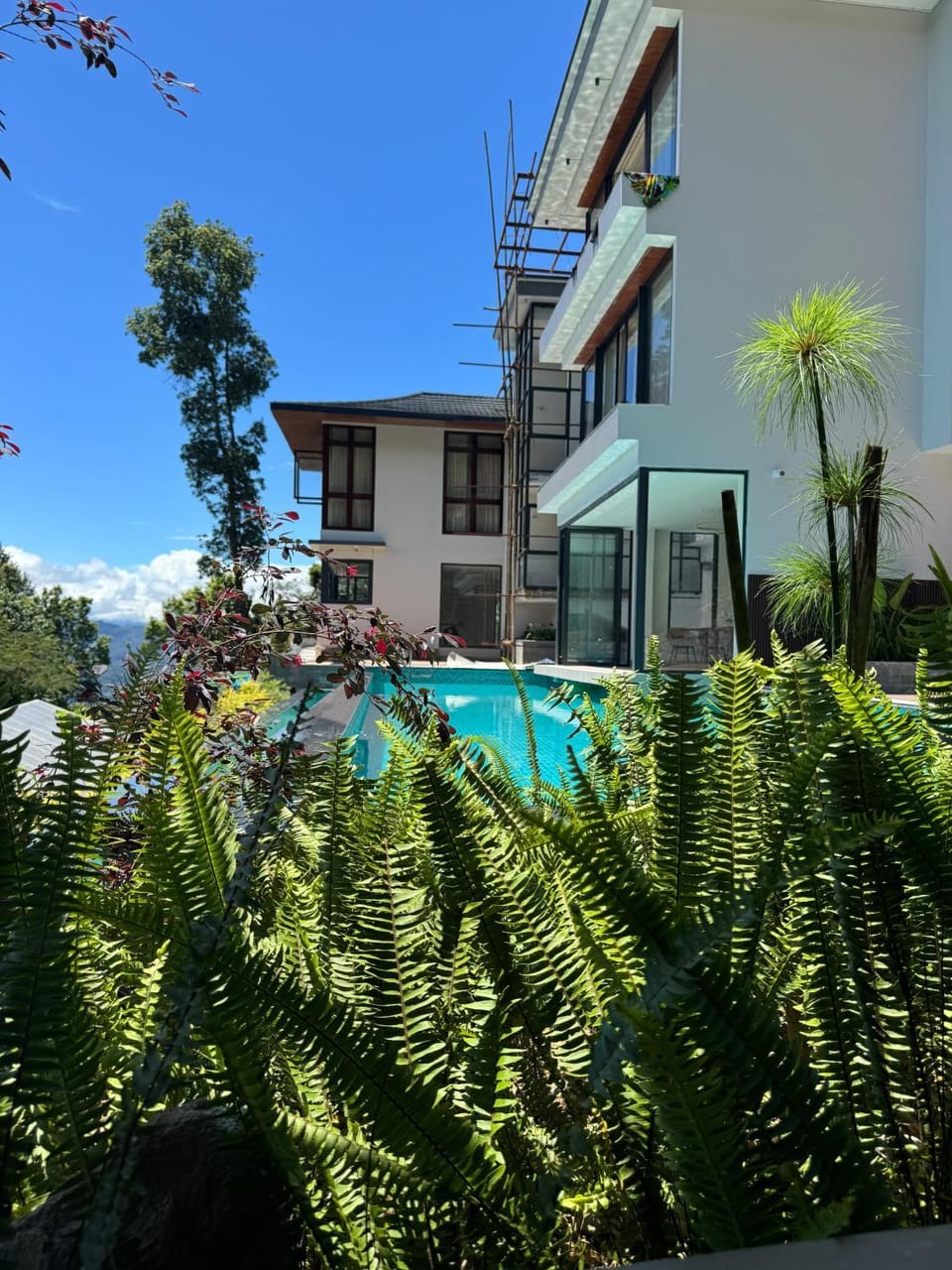 Property building, Spring, Day, Garden, Garden view, Pool view, Swimming pool, sunbed