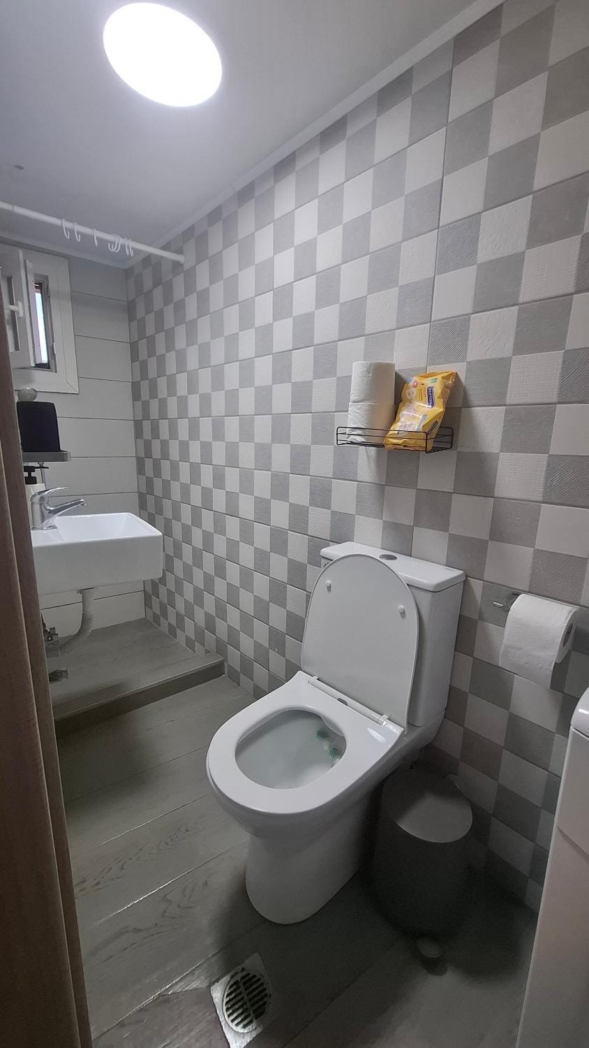 Toilet, Bathroom, bidet