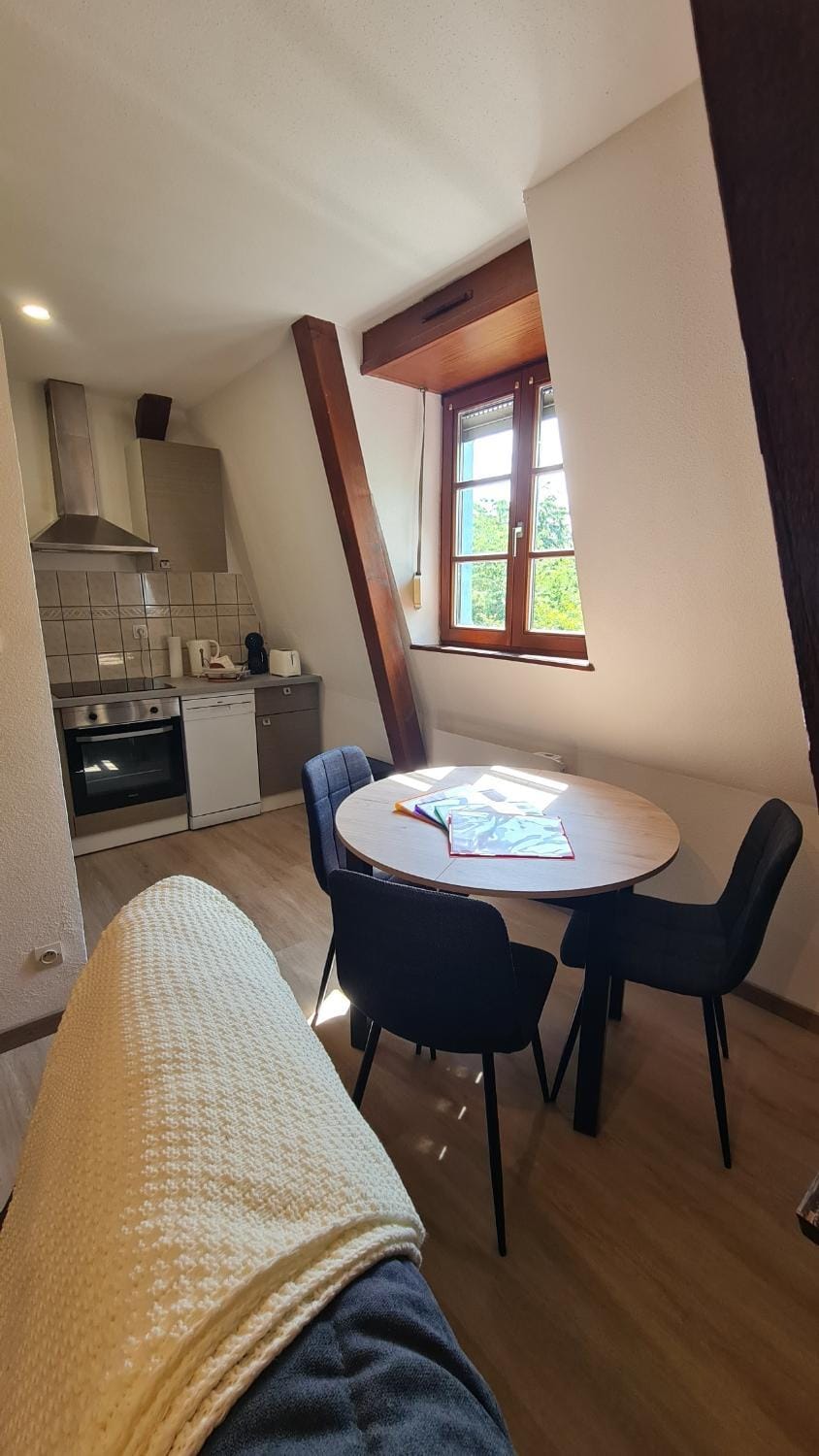 Kitchen or kitchenette, Dining area