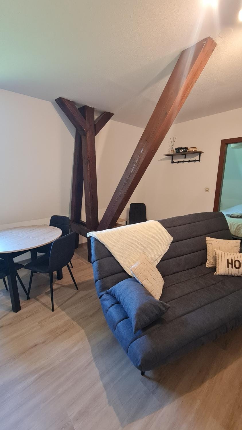 L'instant des Vignes - Mittelwihr Apartment in Colmar
