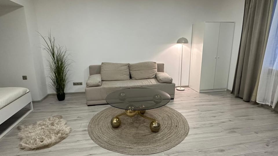 Cozy and Bright Studio Central Naujoji Akmenė Apartment in Lithuania