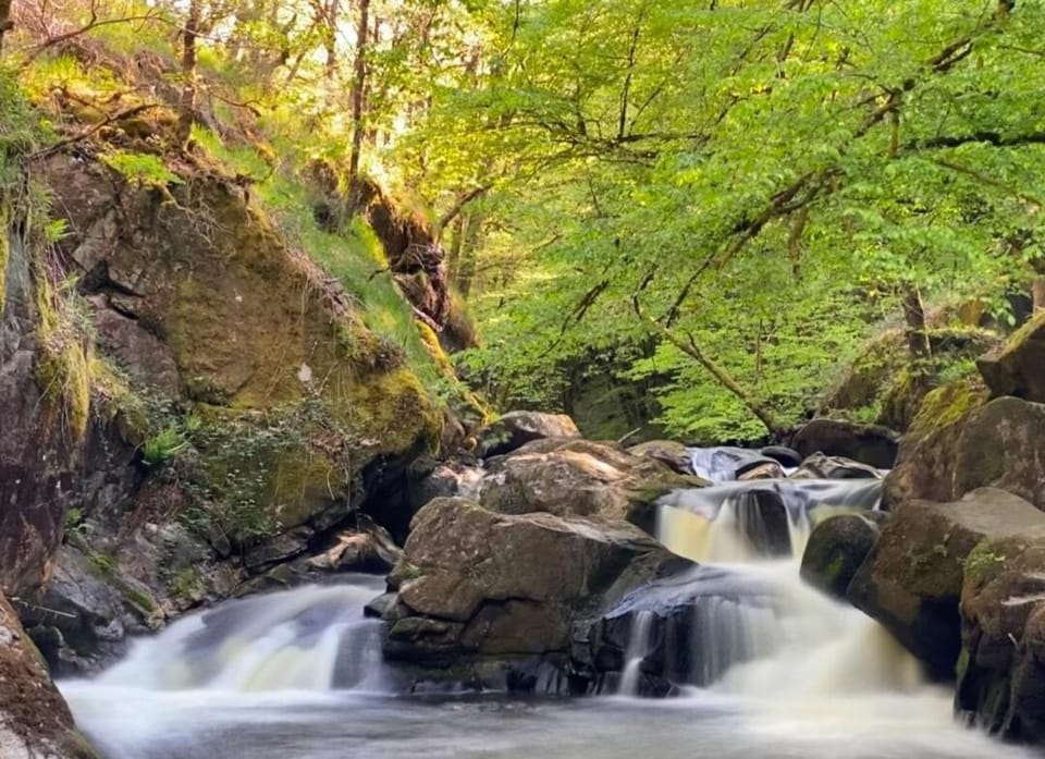 La Sapinière 24- mobile home - nature - 3 people Chalet in Nouvelle-Aquitaine