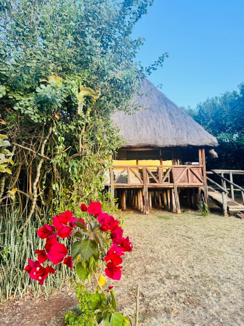 Garden view