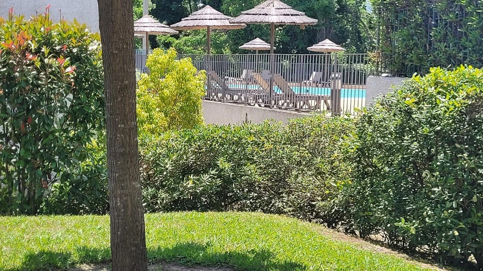 Garden, Pool view, Swimming pool