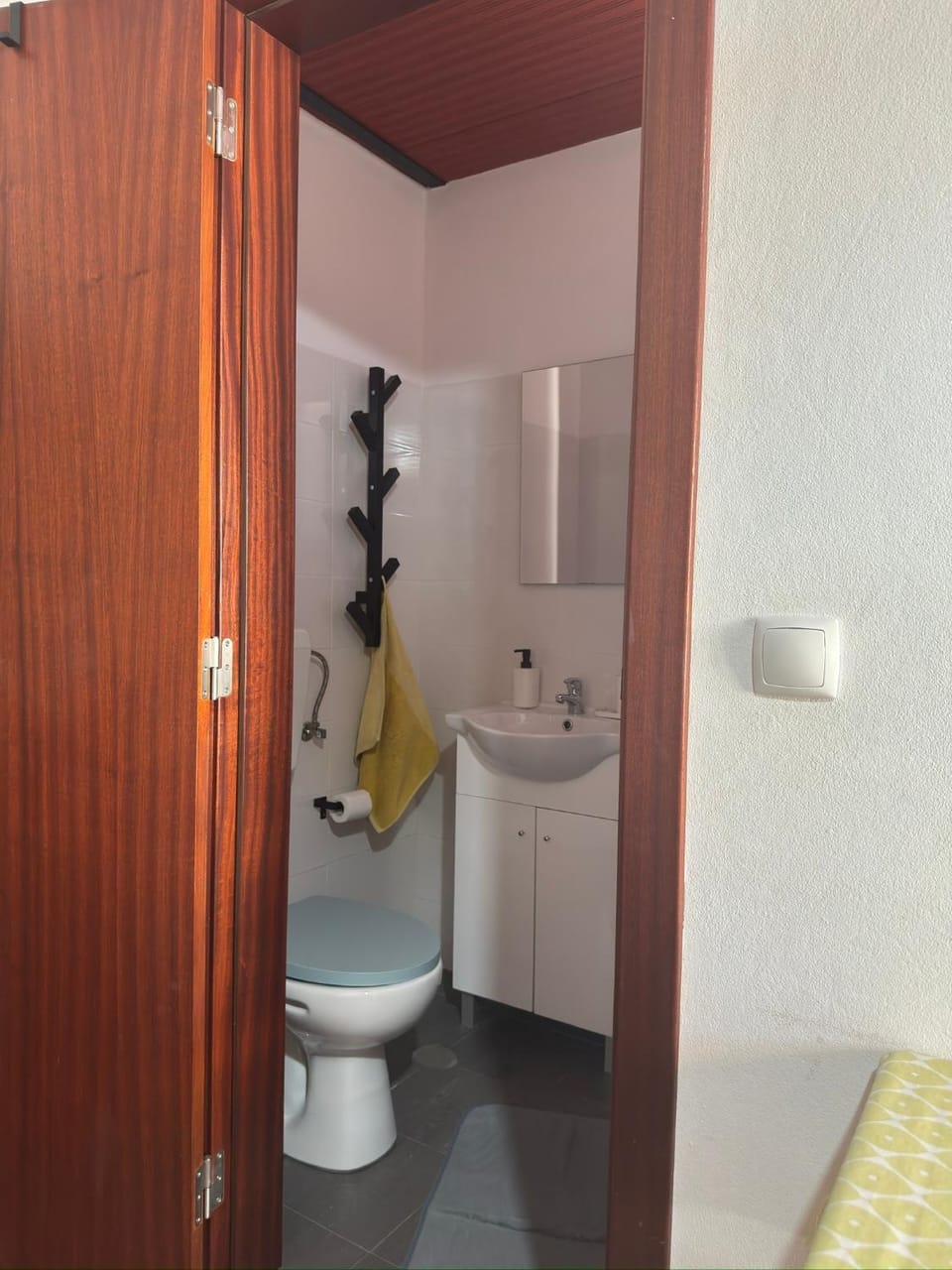 Toilet, Bathroom