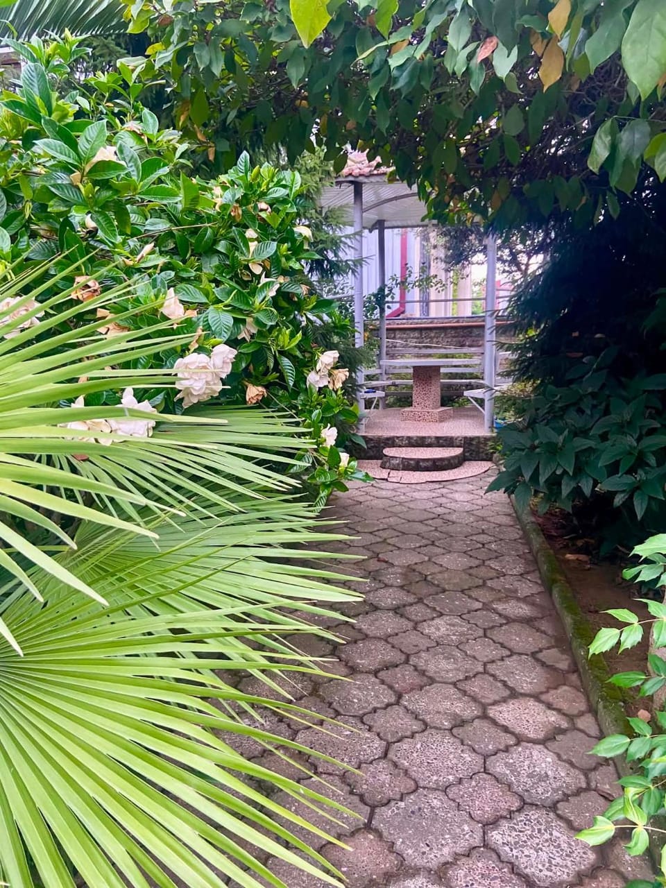 Hotel Kobuleti Garden Hotel in Adjara, Georgia