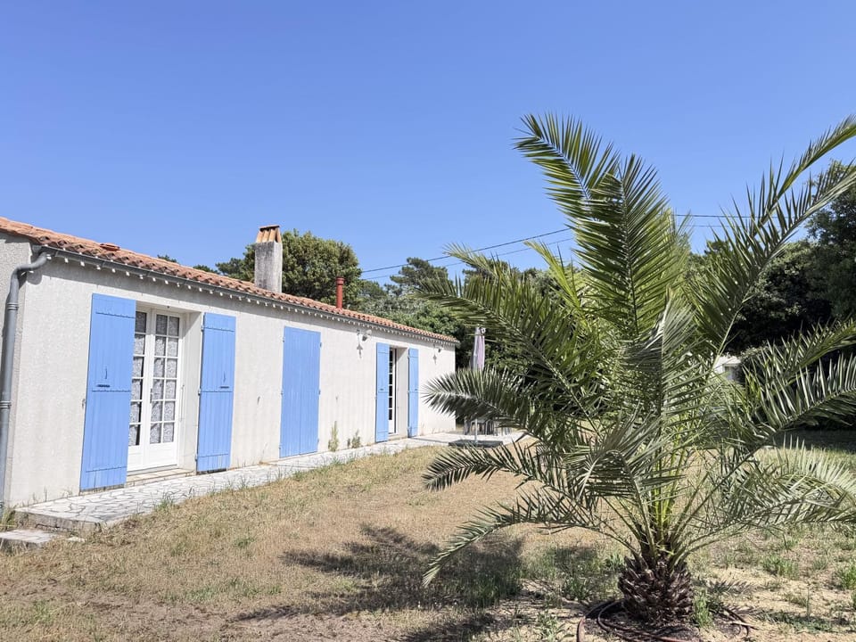 Garden, Garden view