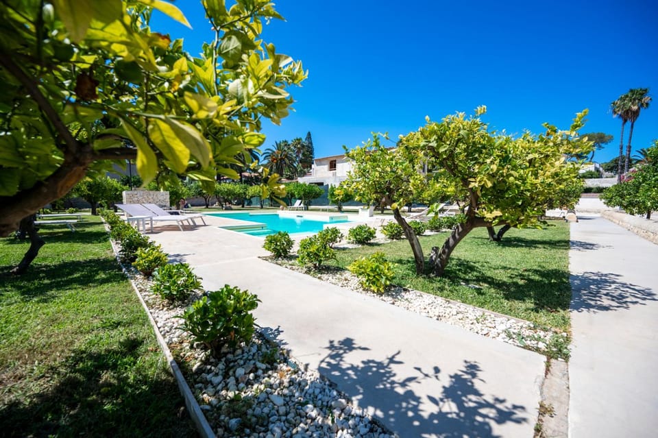 Day, Natural landscape, Garden, Garden view, Pool view, Swimming pool
