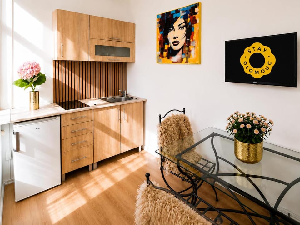 Old Town Studio 6 - Stay Olomouc CZ Apartment in Czechia