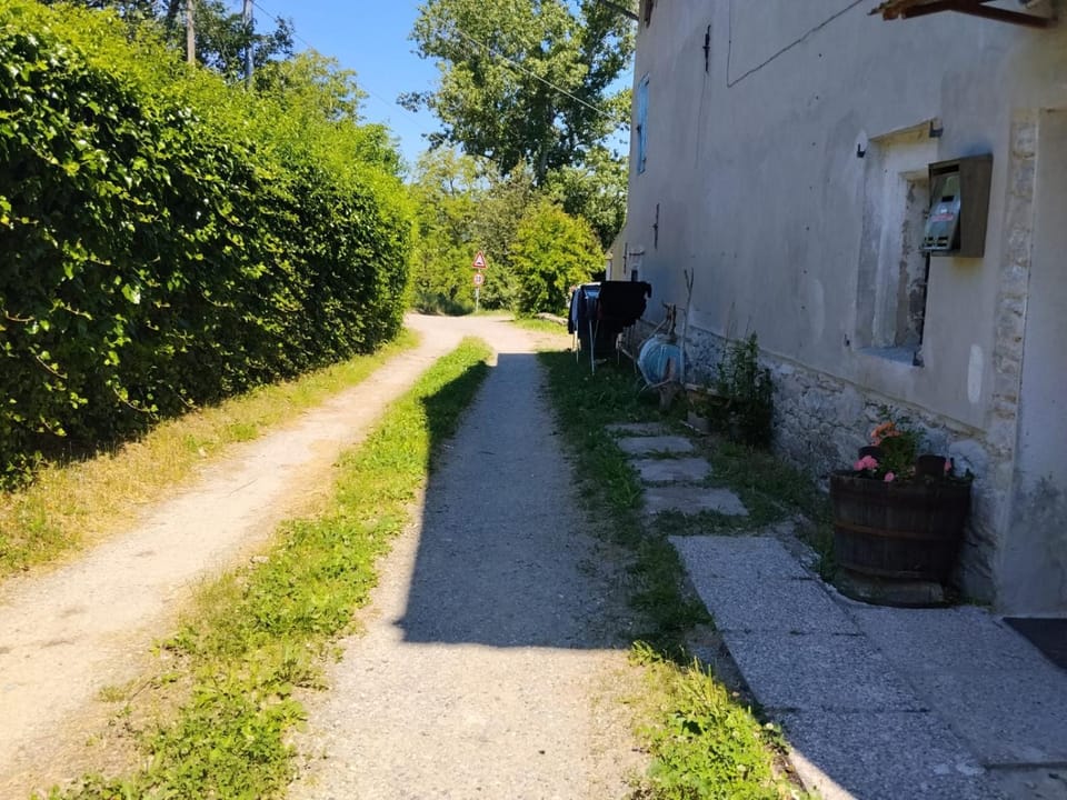 Golden horses Apartment in Emilia-Romagna