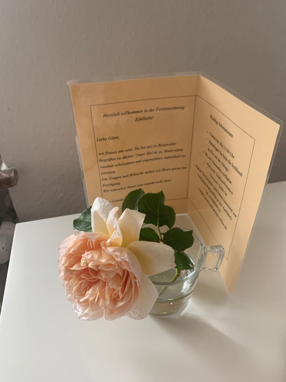 Eifelliebe Apartment in Rhineland-Palatinate