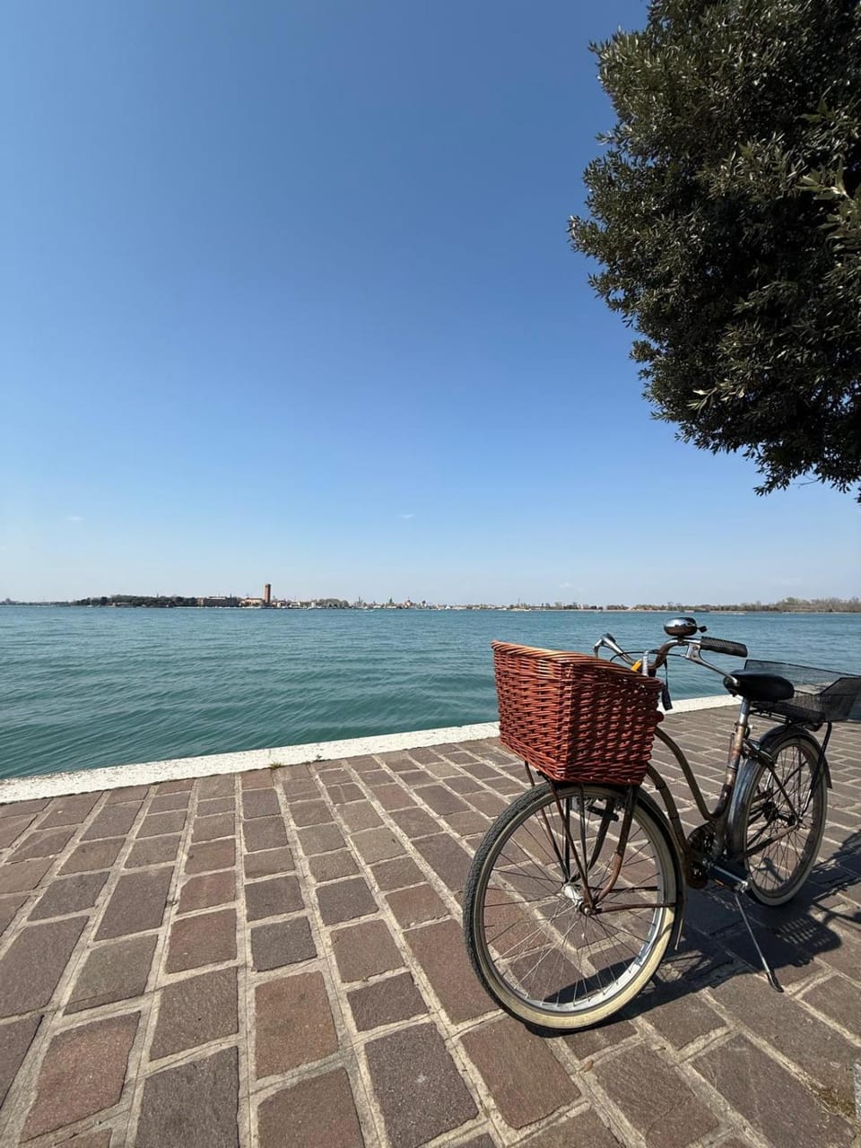 Cycling, Sea view
