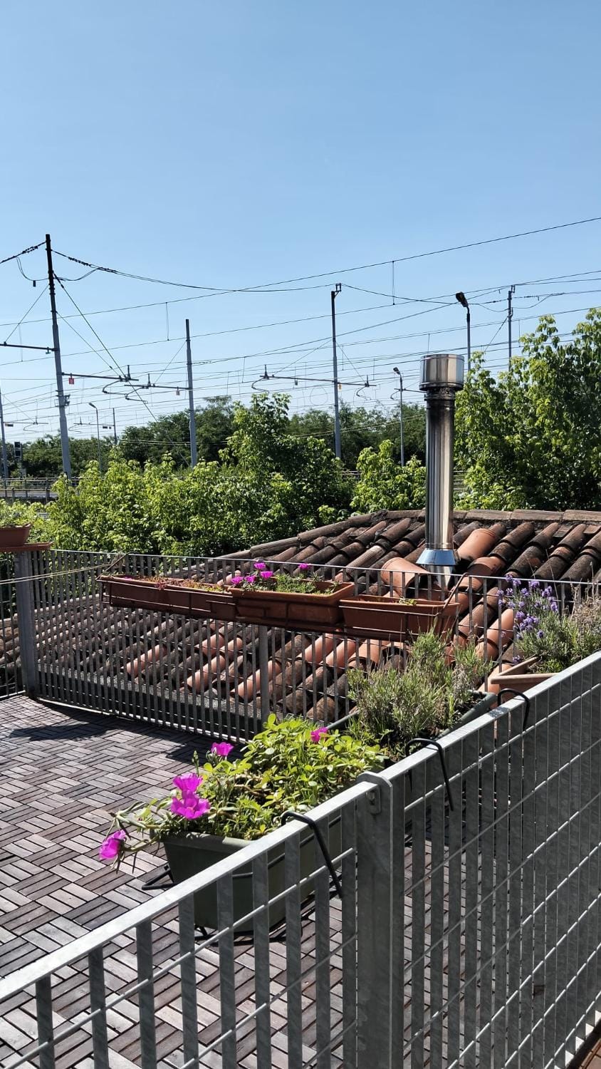 Garden view