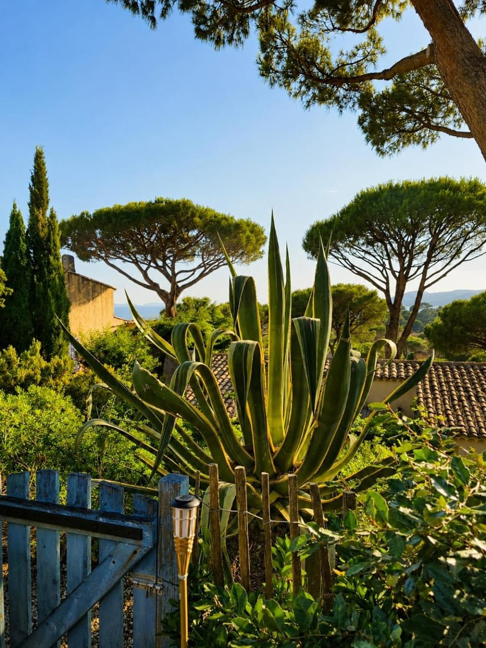 Sea View Apartment Gigaro AC Parking Apartment in Ramatuelle