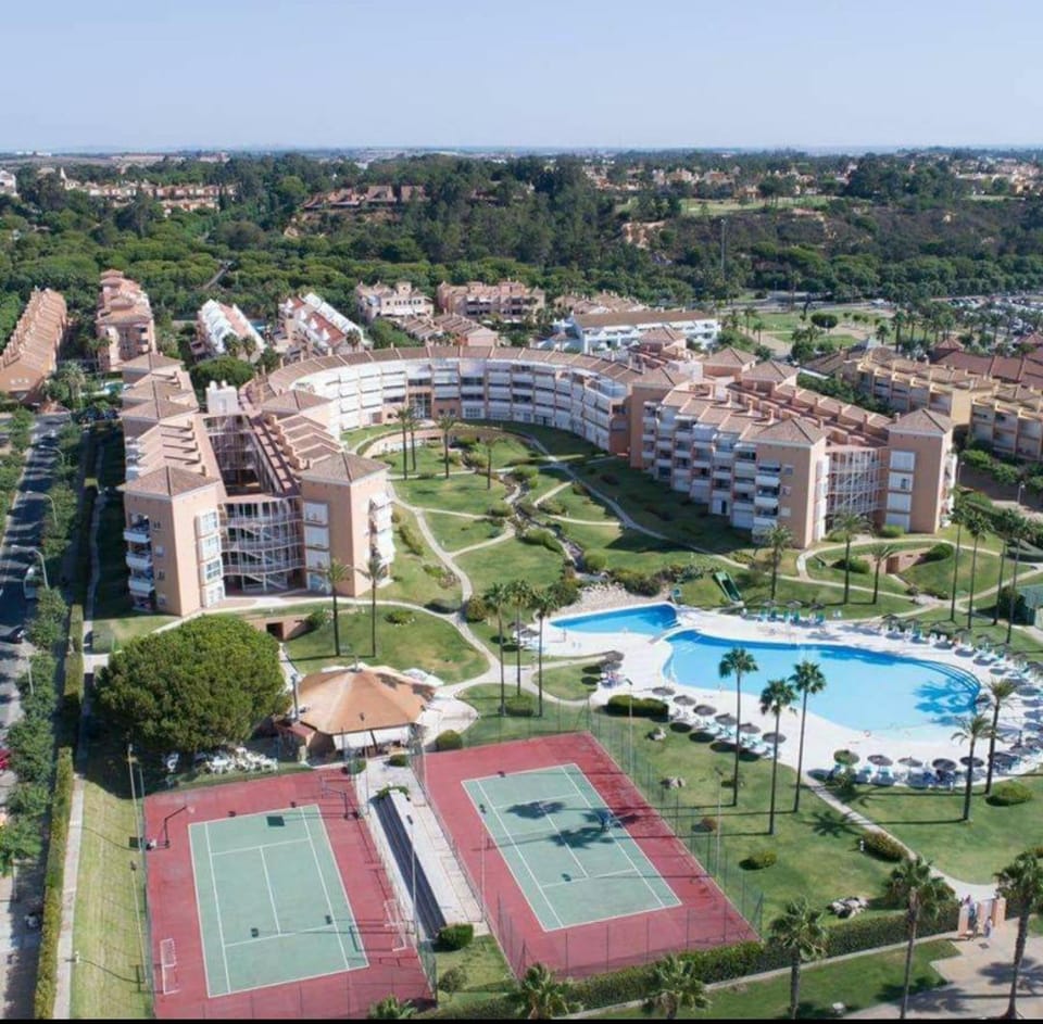Bird's eye view, Garden, Beach, Area and facilities, Swimming pool, Swimming pool