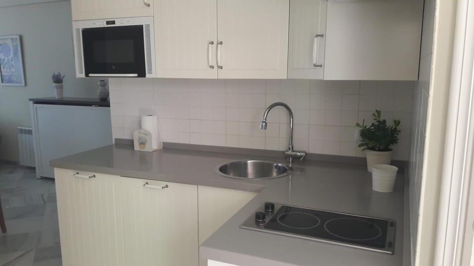 Kitchen or kitchenette, dishwasher, minibar, stove
