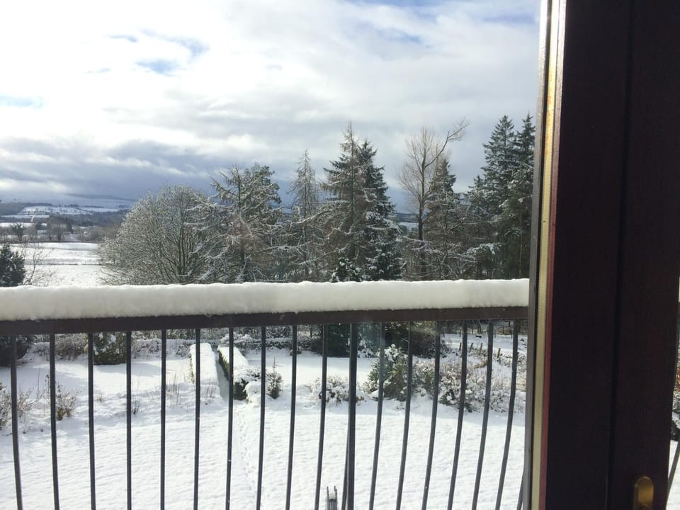 Winter, Balcony/Terrace, Garden view