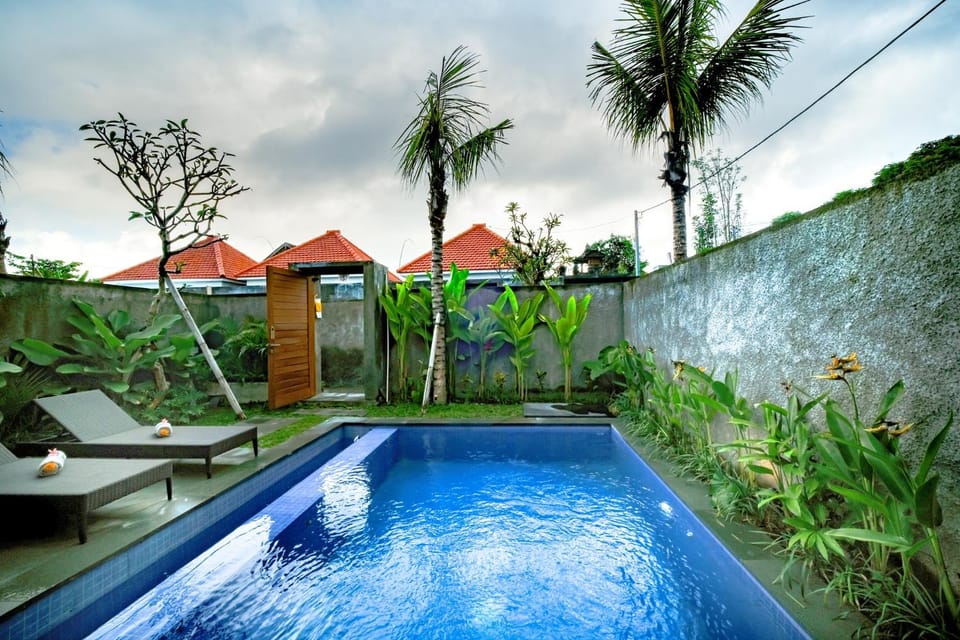 Patio, Day, Natural landscape, Garden, Garden view, Pool view, Swimming pool, sunbed