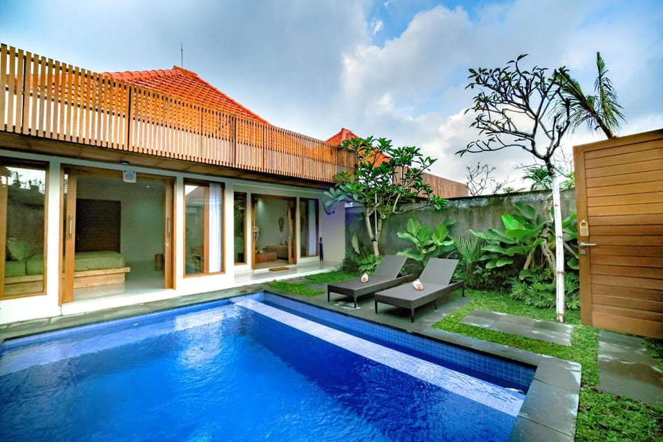 Patio, Day, Garden, Garden view, Pool view, Swimming pool, sunbed