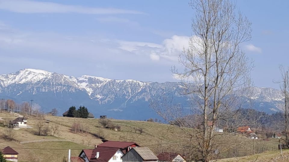 Casa Cătălin-Puntea Craiului Nature lodge in Brașov County
