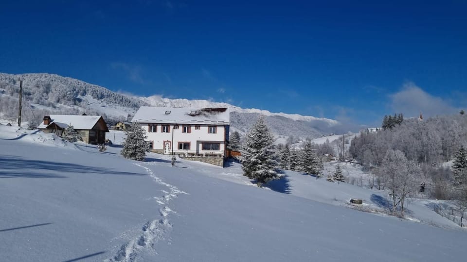 Casa Cătălin-Puntea Craiului Nature lodge in Brașov County