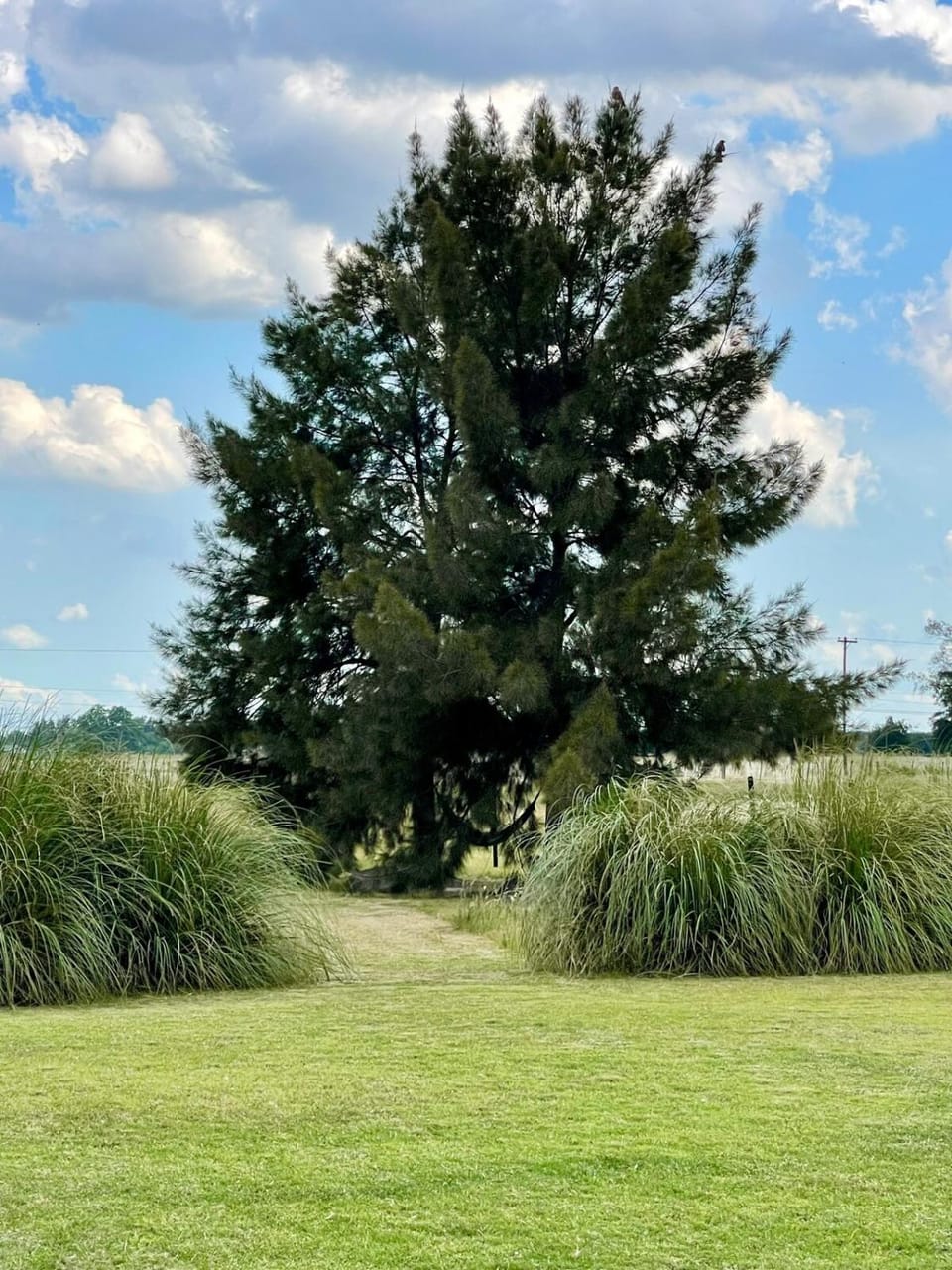 Garden, Garden