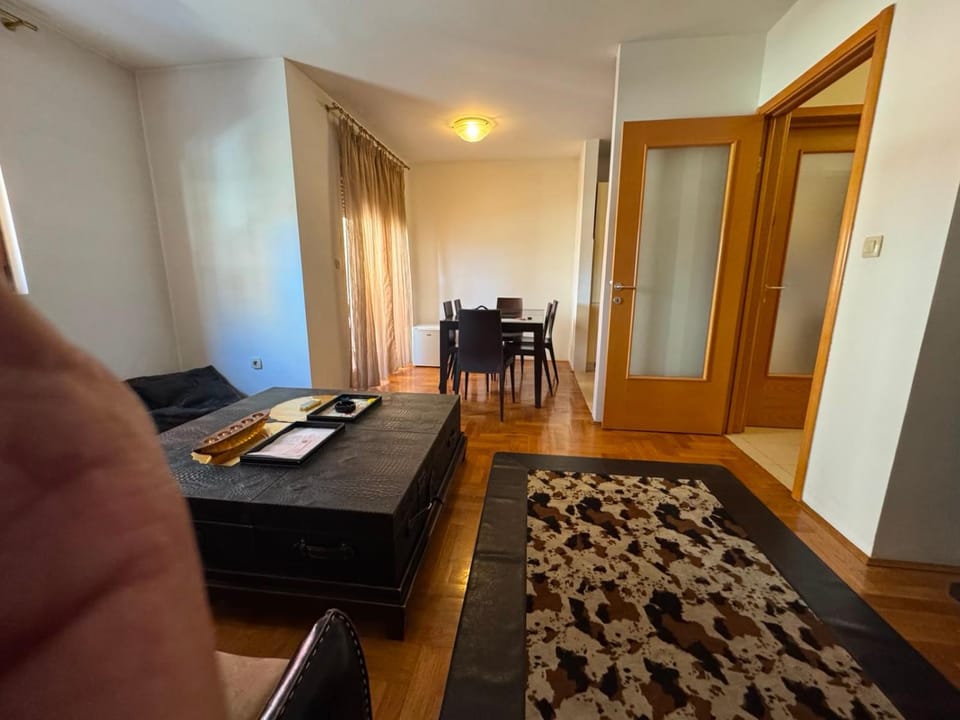 Pera Cetkovica broj 79 Apartment in Podgorica