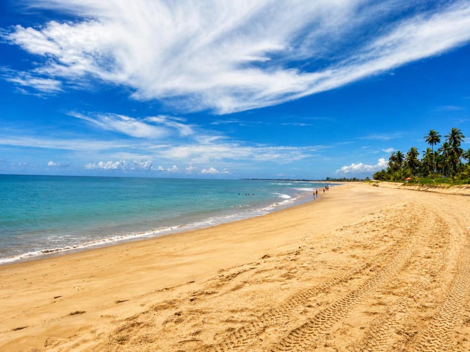 Natural landscape, Beach