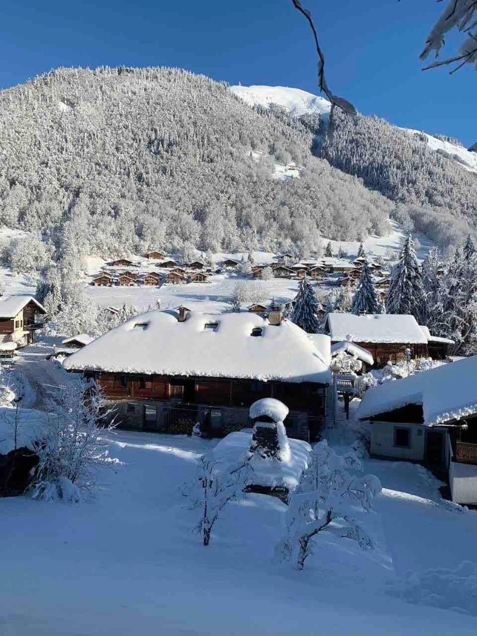 La Grange à Tennesse Chalet savoyard Montriond Apartment in Montriond