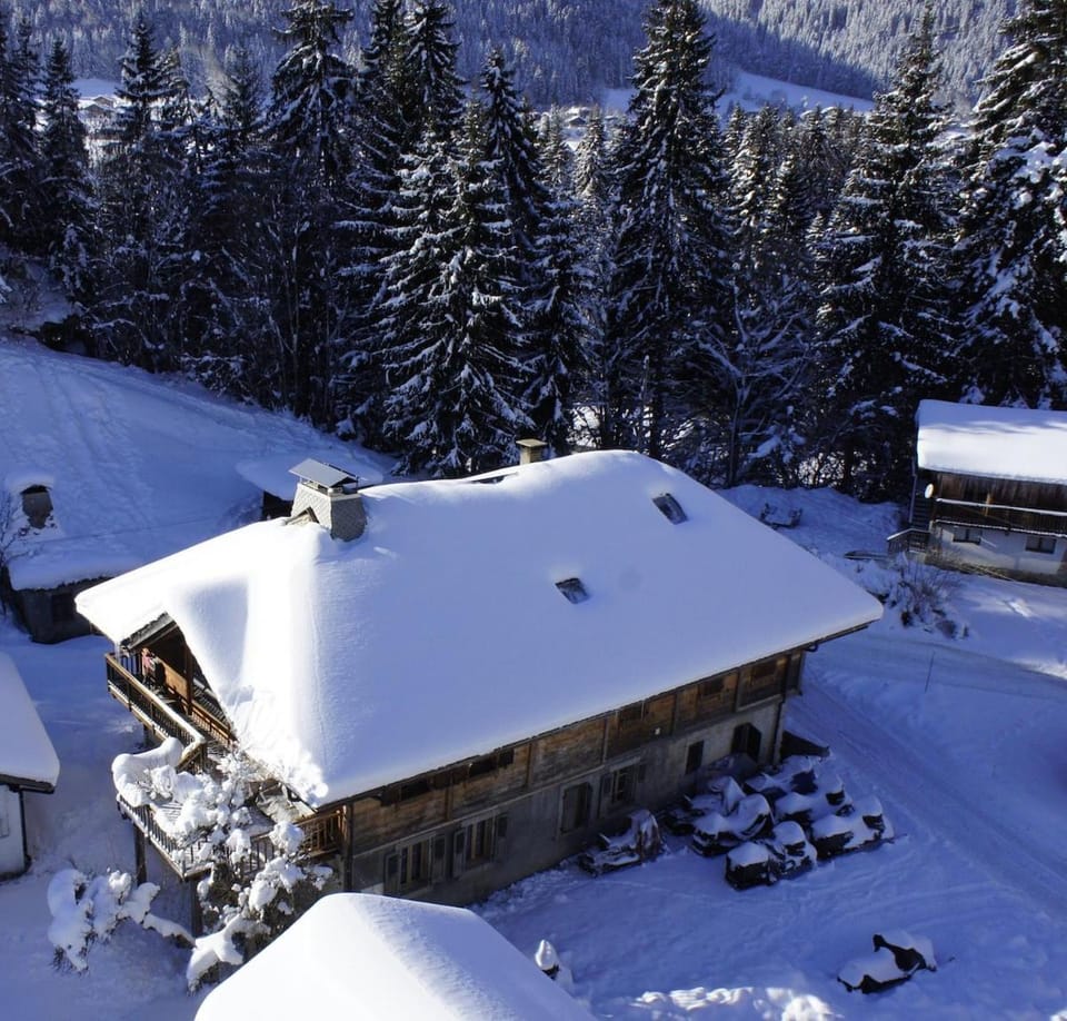 La Grange à Tennesse Chalet savoyard Montriond Apartment in Montriond
