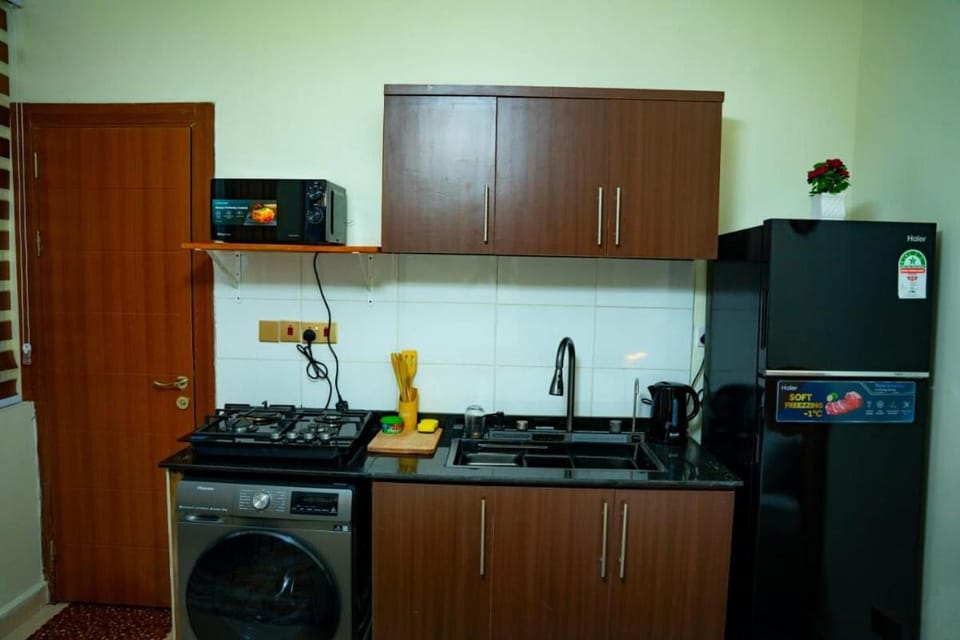 Kitchen or kitchenette, dishwasher, stove