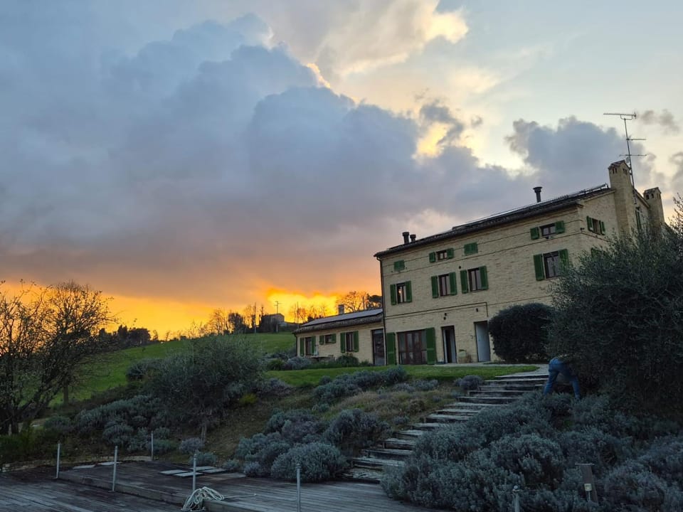 Property building, Natural landscape, Garden, Sunset