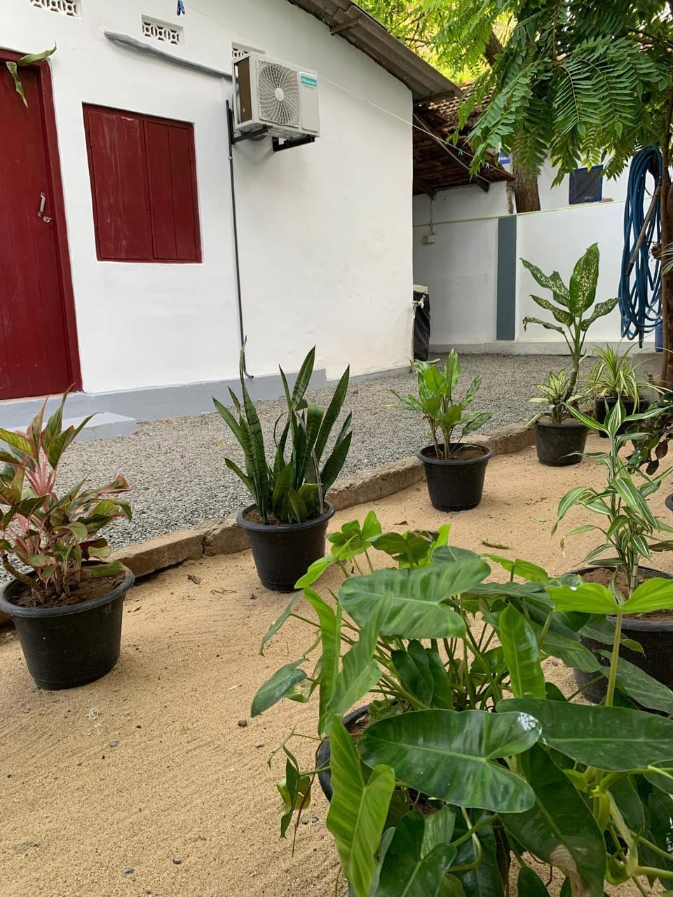 Property building, Day, Garden