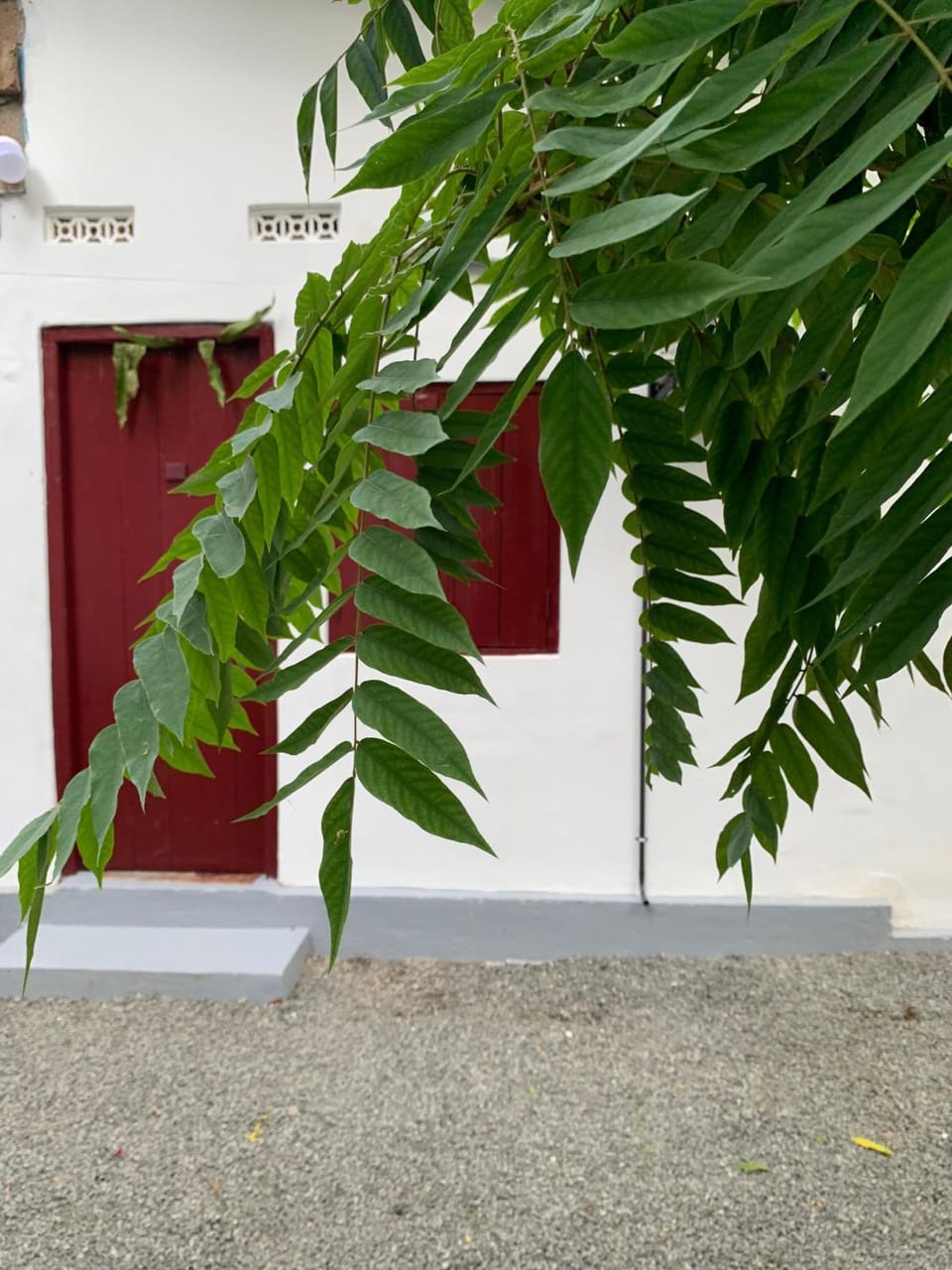 Lathu - zen Stay Hotal Hostel in Sri Lanka