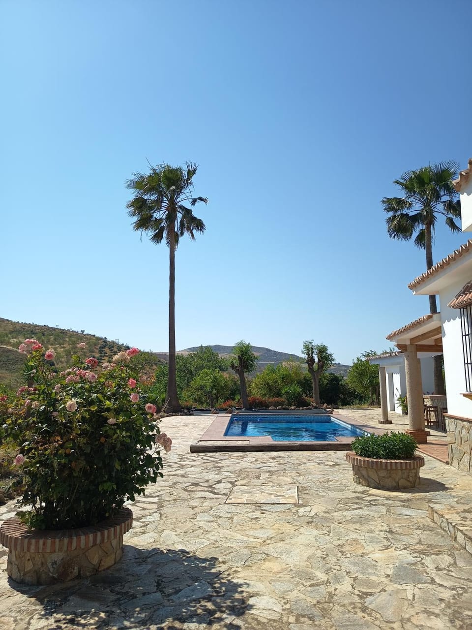 Pool view