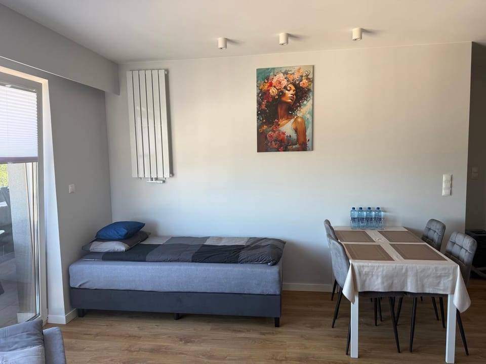 Klimatyzowany Apartament Seminaryjska w centrum Kielc, parking Apartment in Poland