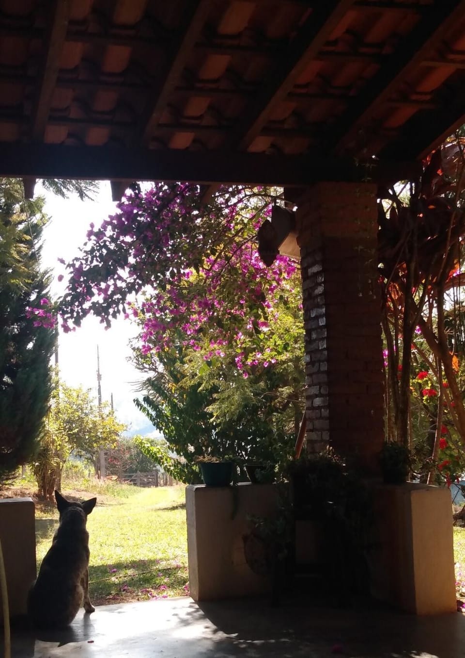 Cabana Encantada próxima a lindas cachoeiras House in State of São Paulo