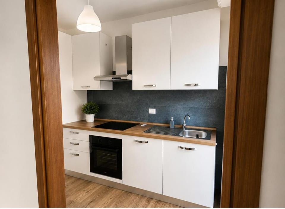 Kitchen or kitchenette, dishwasher, stove