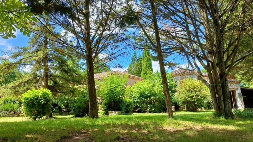 Property building, Natural landscape, Garden, Garden view