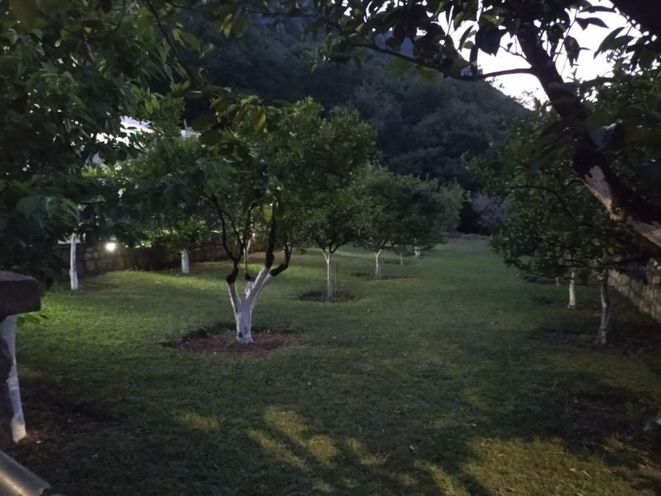 Garden view