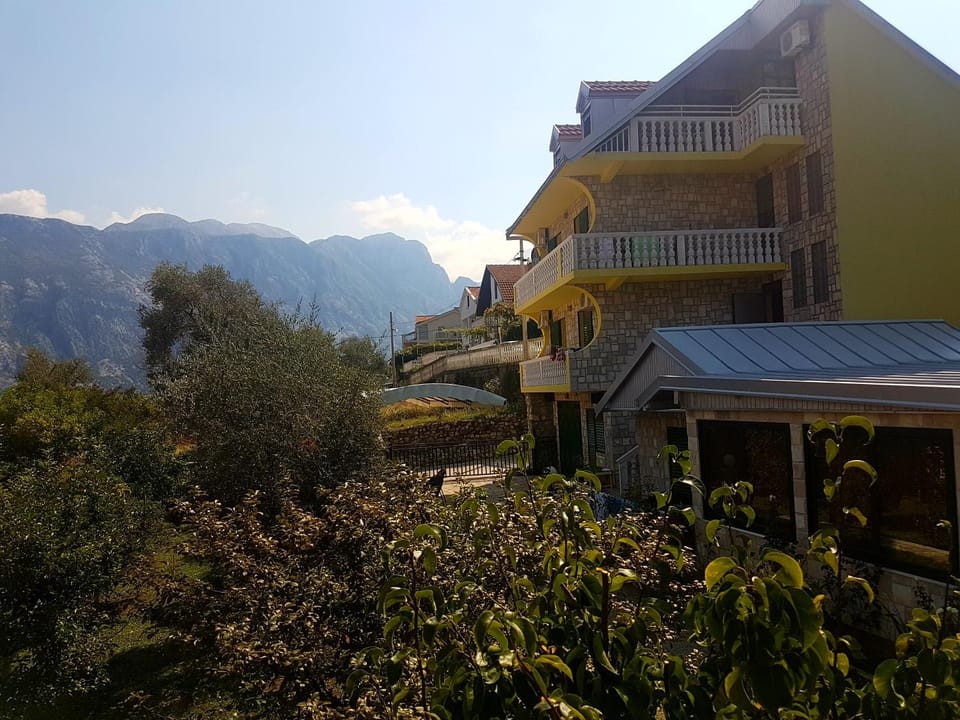 Property building, Garden view