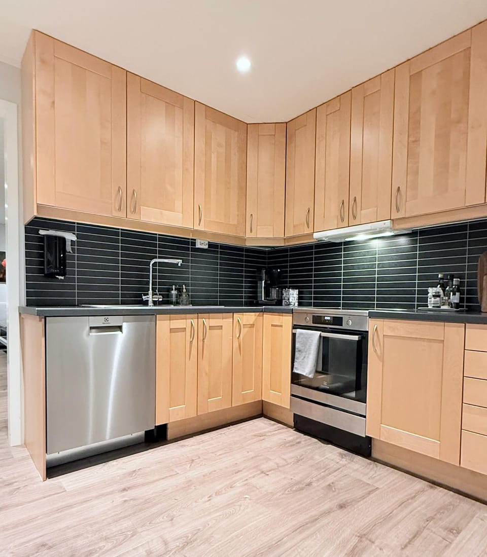 Kitchen or kitchenette, dishwasher, stove