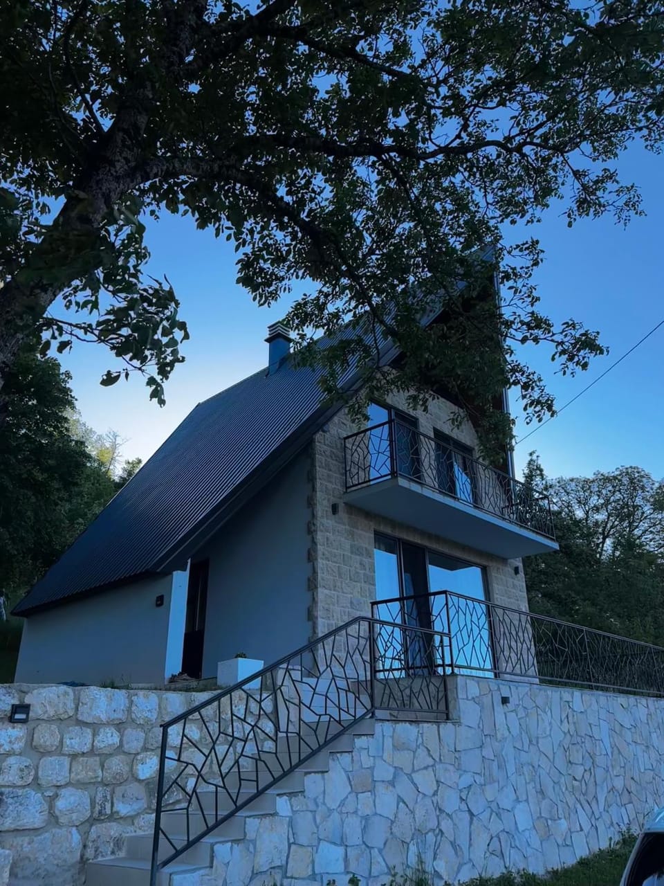 Villa Vasilije Villa in Montenegro
