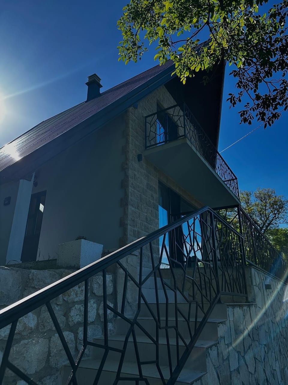 Villa Vasilije Villa in Montenegro