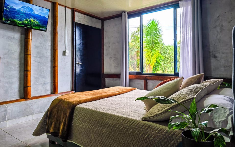 Bed, TV and multimedia, Photo of the whole room, Bedroom