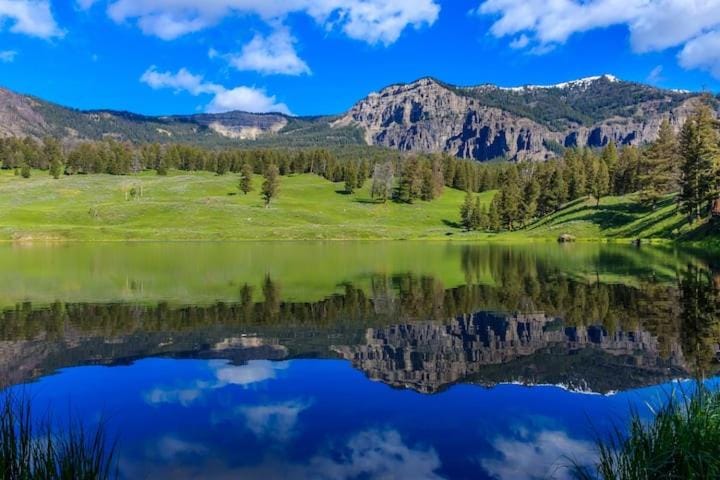 Near Yellowstone Park and Chico Hot Springs Nature lodge in Emigrant