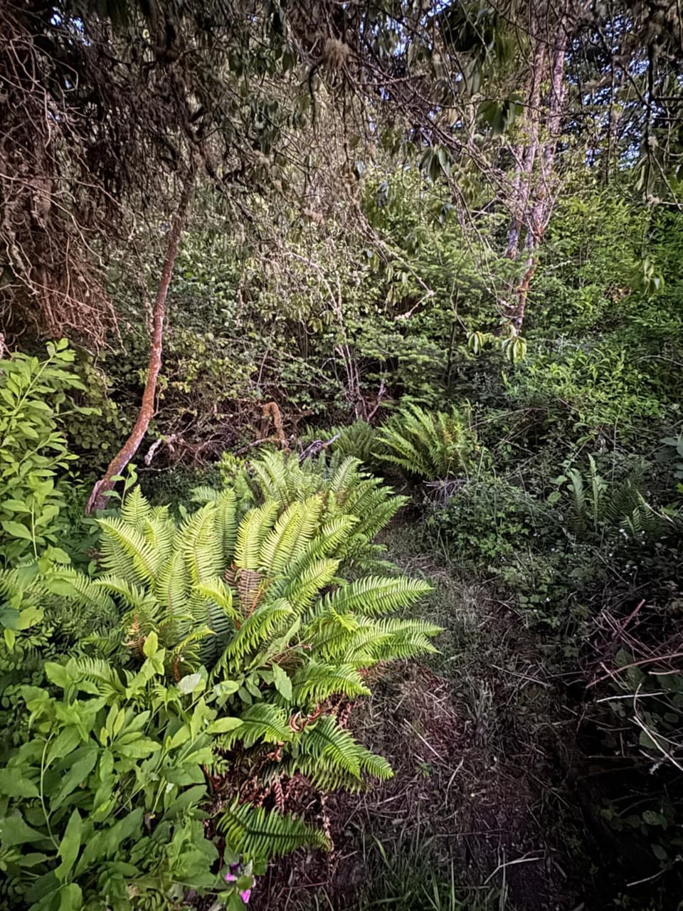 Natural landscape
