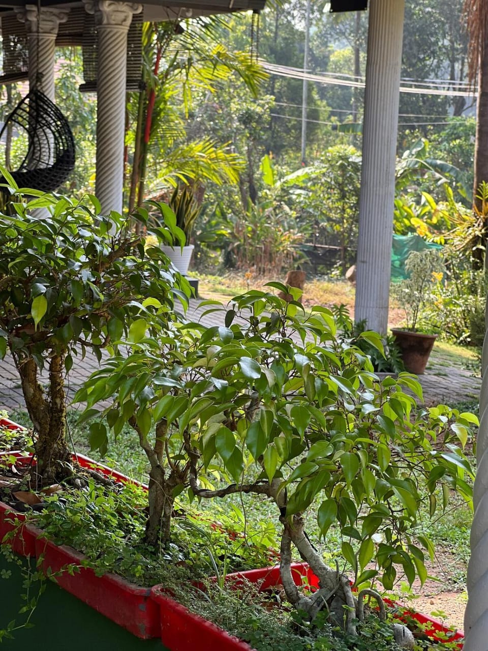 Mass Bungalow House in Kerala