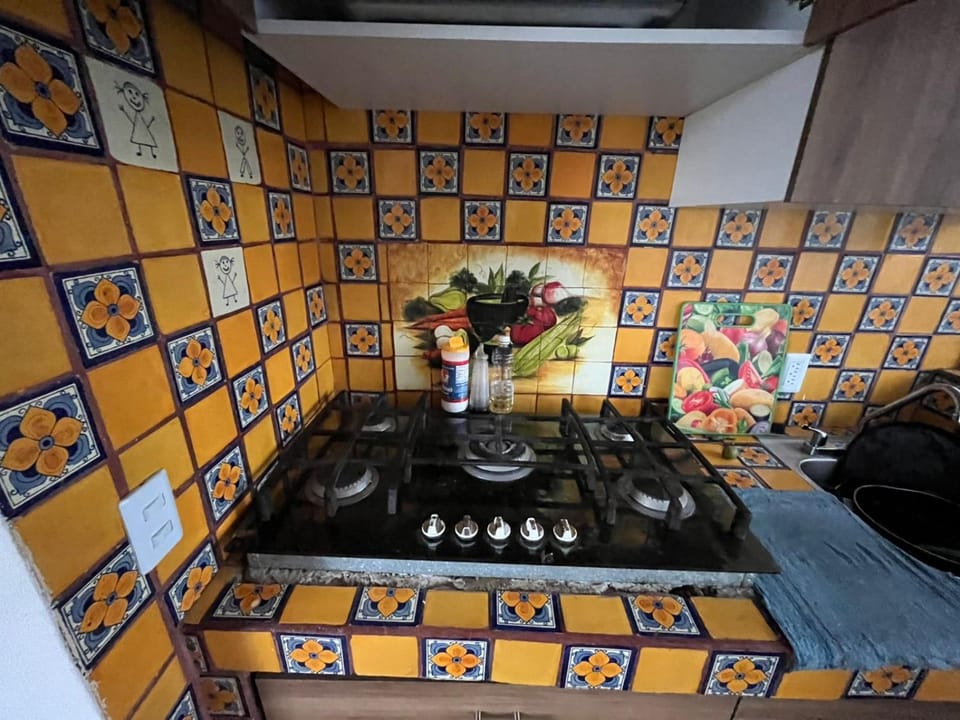 Suite Constanza Apartment in Mexico City