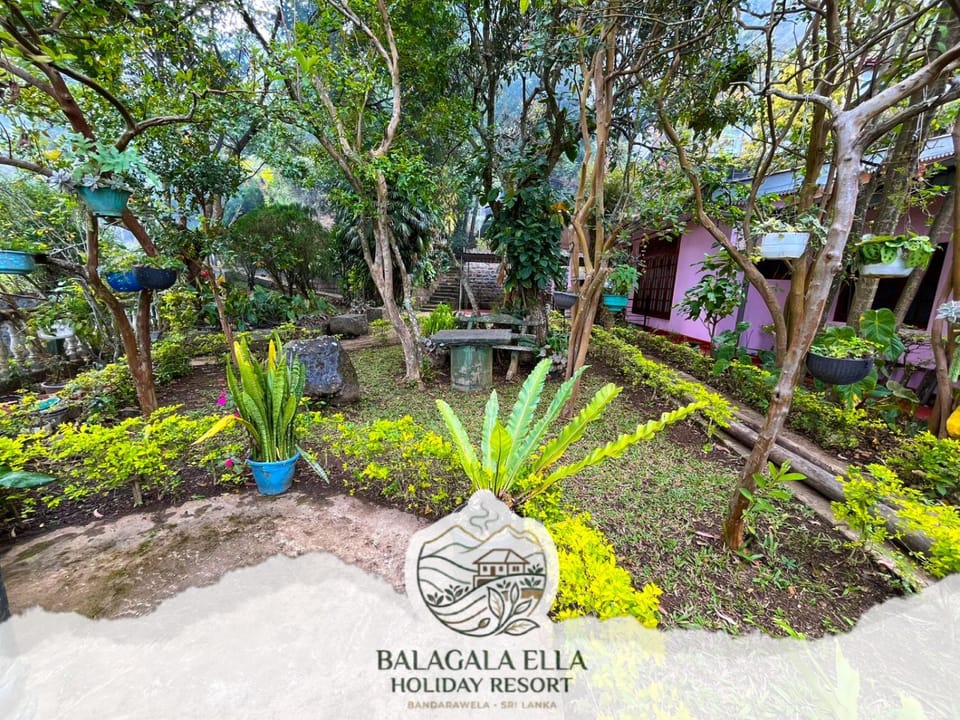 Balagala Ella Holiday Resort Bed and Breakfast in Uva Province, Sri Lanka